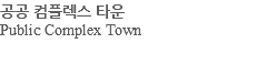 공공 컴플렉스 타운 Public Complex Town 